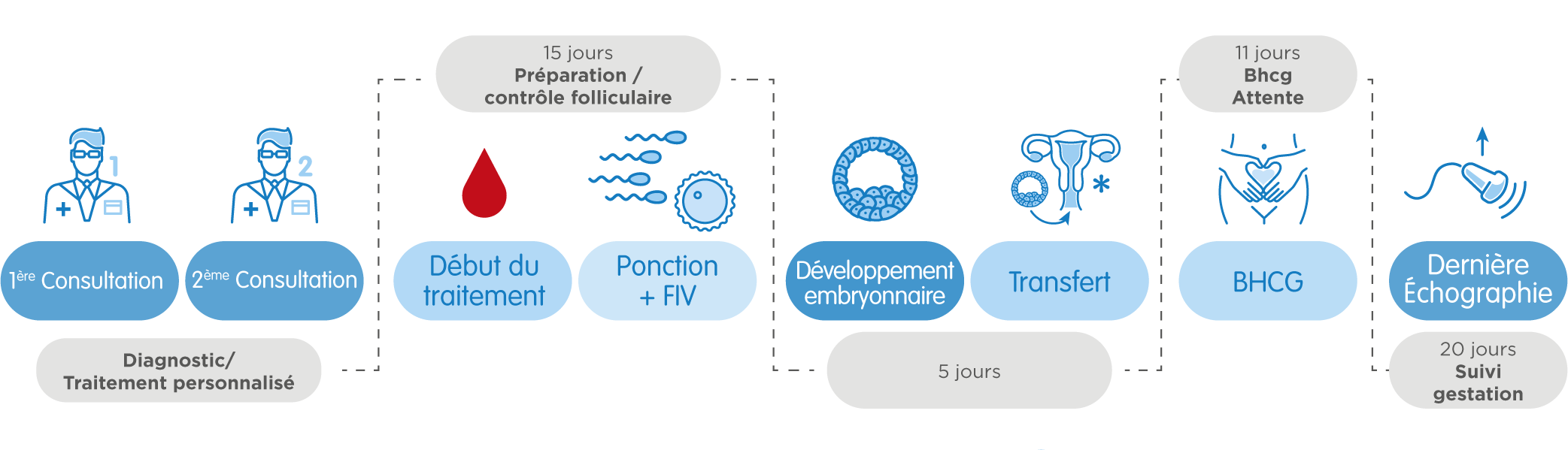 Fiv Qu Est Ce Que La Fecondation In Vitro Cliniques Ivi