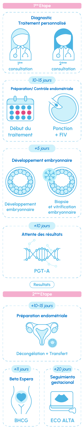 Infographie sur les étapes du traitement de fécondation in vitro (FIV) chez IVI.