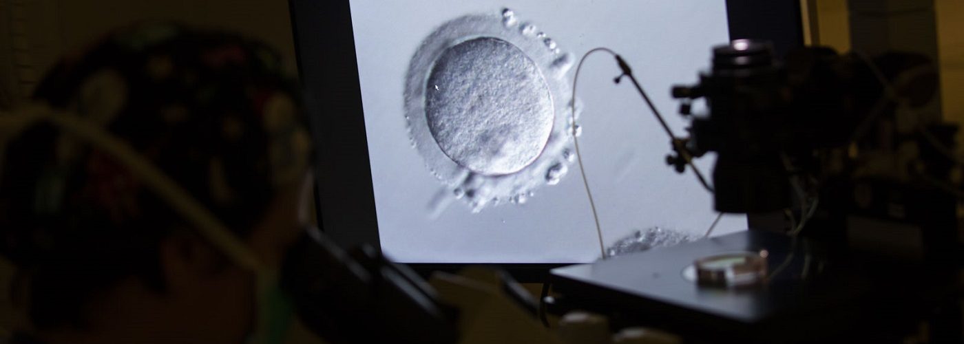 transfert d'embryon congelé