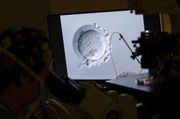 Transfert d’embryon congelé : conseils pour une implantation réussie