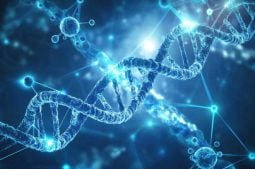 Qu’est-ce que le syndrome de l’X fragile? Comment le PGT peut-il vous aider à le détecter?