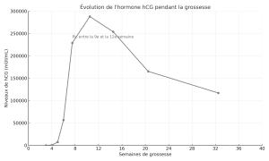 evolution taux hcg