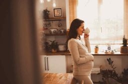 Taux d’hormone de grossesse : Comprendre les niveaux idéaux et leur impact sur la fertilité