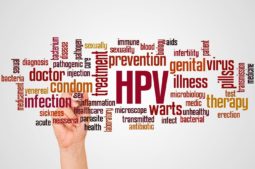 papillomavirus humain HPV