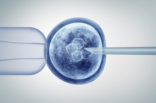 Génétique reproductive au Congrés IVIRMA : quelle est la précision des tests préimplantatoires non invasifs ?