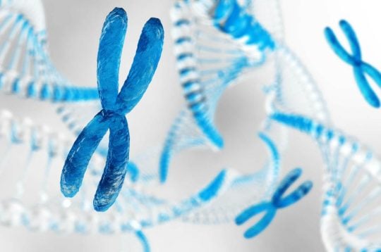 Syndrome de Turner et relation avec la fertilité