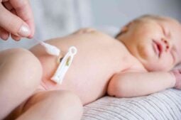 Plasma extrait du cordon ombilical : une nouvelle piste pour traiter l’infertilité féminine liée aux pathologies endométriales
