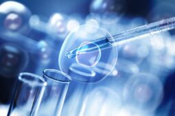 L’endomètre, élément clé de la grossesse : une nouvelle étude dévoile la manière dont l’endométriose peut en altérer le fonctionnement