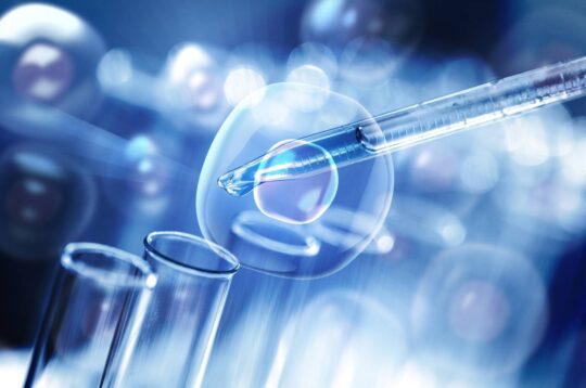 L’endomètre, élément clé de la grossesse : une nouvelle étude dévoile la manière dont l’endométriose peut en altérer le fonctionnement