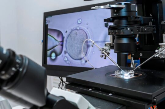 Un antidiabétique et un composé végétal : une nouvelle voie pour accroître l’efficacité des traitements et réduire le risque de fausse couche en reproduction assistée