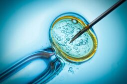 FIV ou ICSI : quelles sont les différences et les indications ?